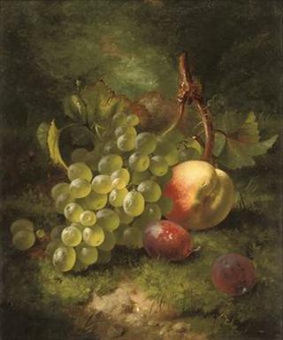 Grapes, plums and peach on a grassy bank