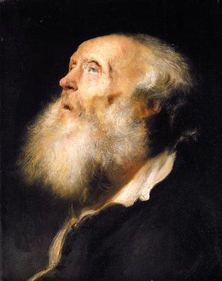 Study of old bearded man