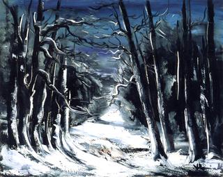 Forest in the Snow