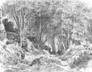 Deciduous Forest on a Rocky Coast, Valaam