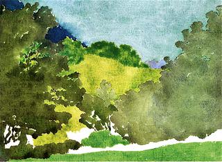 Wooded Hill Landscape