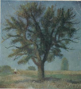 An Old Pear Tree