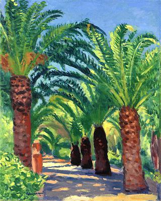 Palm Trees at Porquerolles