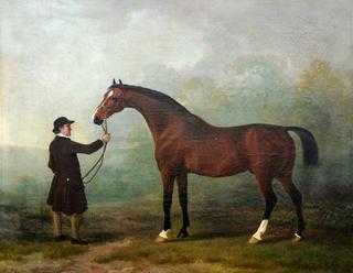 Jason, a Bay Racehorse, with a Groom in a Landscape