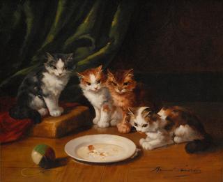 kittens with a dish of milk