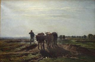 Cattle Ploughing in the Early Morning