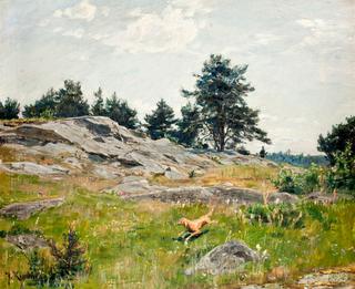 Summer landscape with dog and hunter