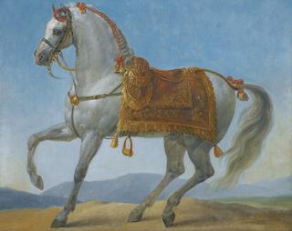 Marengo, Napoleon Bonaparte's Arab Stallion