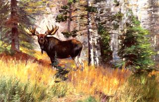 Moose in a Landscape