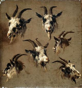 Study of Goats' Heads