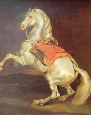 Cheval cabré au tapis de selle rouge, autrefois dit Tamerlan, le cheval de l’Empereur