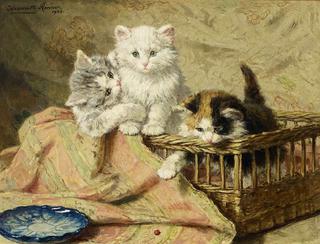 three kittens at play