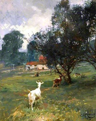 Goats on a Common