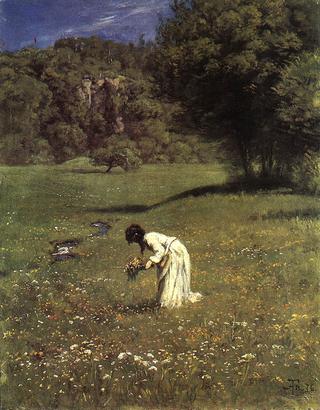 In the Meadow