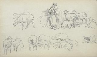 Study of sheeps and shepherdess