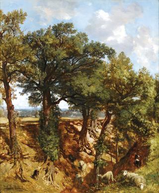 The Oak Trees in the Ravine