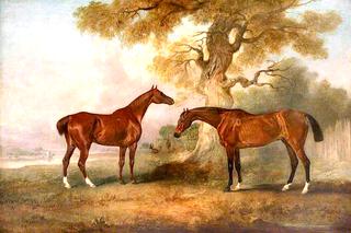 Chestnut Racehorses Called 'Rufus' and 'Leporello'