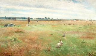 Landscape with geese, Morbylanga