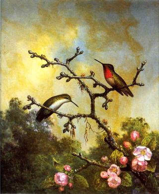 Ruby-Throated Hummingbirds with Apple Blossoms