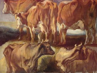Study of Five Cows