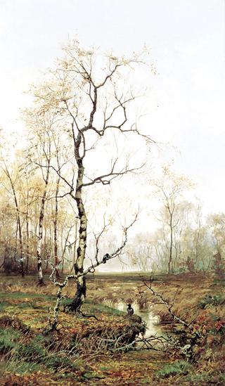 Forest in Spring