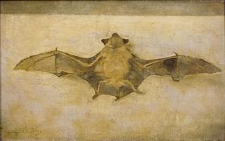 A Bat