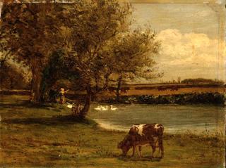 Landscape at Newport