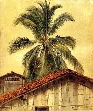 厄瓜多尔棕榈树和屋顶