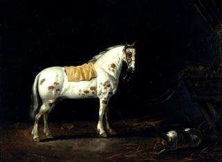 A Dappled Stallion with a Dog in a Stable