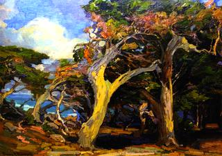 Windswept Twisted Cypress