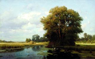 Landscape with a Swamp