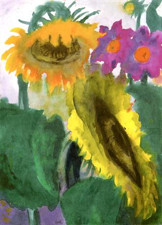 Ripe Sunflowers