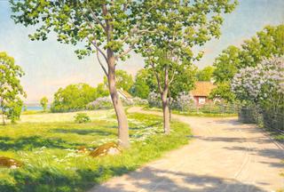 Village road with flowering lilacs