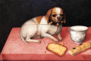 Still Life with Small Dog