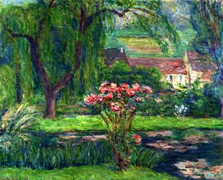 Giverny: Rose Bush and Lilies