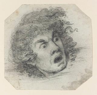 Study of a Head with an Expression of Horror