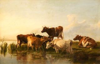 河岸上的六头牛