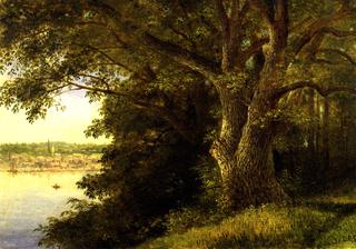 The Washington Oak, Denning's Point