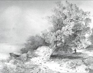 Old oak near abrupt coast of river