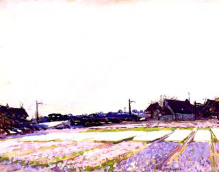 Hyacinth Field, Belgium