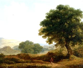 Landscape, View Taken in the County of Wicklow
