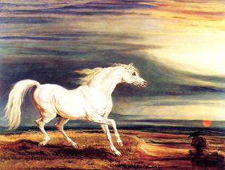 拿破仑的马，马伦戈，滑铁卢