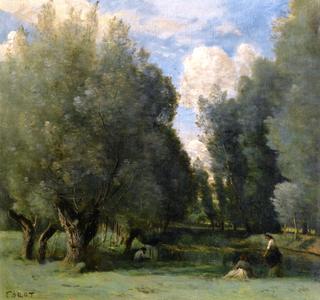 Fishing under the Willows