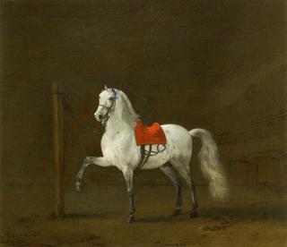 A Grey Horse in a Stable