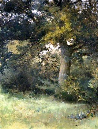 An Oak Tree, Green Hedges, East Grinstead, Sussex