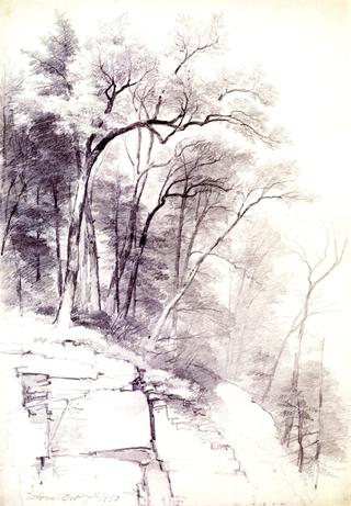 树木和岩石的习作，Kaaterskill丁香，纽约
