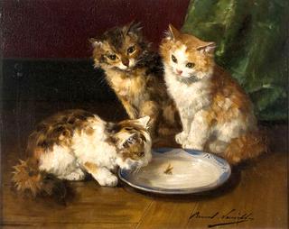 three kittens with a saucer of milk