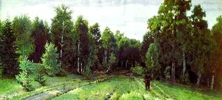 艾布拉姆塞沃的森林小径