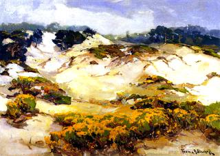 Dunes Pallid by Mist, Monterey Coast