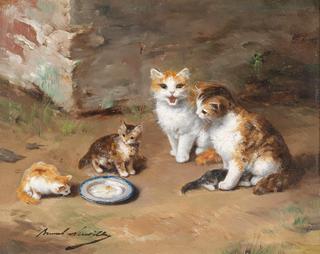 the family of cats